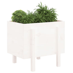 vidaXL Garden Planter White 62x50x57 cm Solid Wood Pine 3