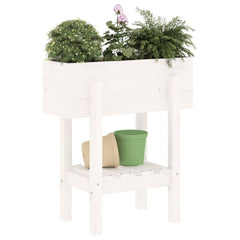 vidaXL Garden Planter White 62x30x69 cm Solid Wood Pine 3