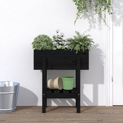 vidaXL Garden Planter Black 62x30x69 cm Solid Wood Pine 1