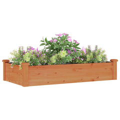 vidaXL Garden Raised Bed with Liner Brown 120x60x25 cm Solid Wood Fir 3