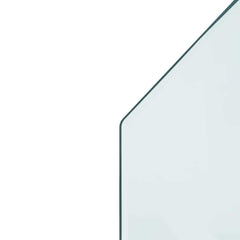 vidaXL Fireplace Glass Plate Transparent 100 x 50 cm Glass 6