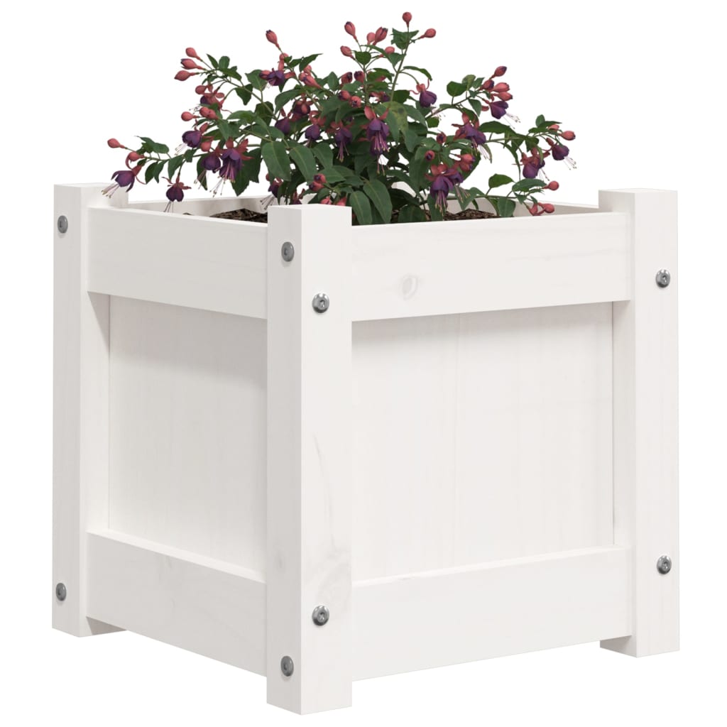 vidaXL Garden Planters 2 pcs White Solid Wood Pine 4