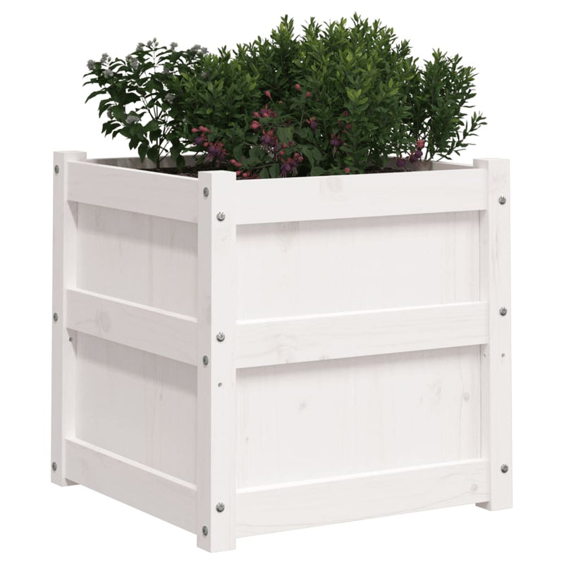 Garden Planters 2 pcs White Solid Wood Pine