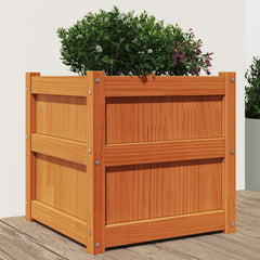 Garden Planters Solid Wood Pine Brown pine 1