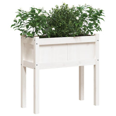 vidaXL Garden Planter with Legs White 70x31x70 cm Solid Wood Pine 4
