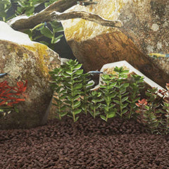 vidaXL Volcanic Rocks 10 kg 5-8