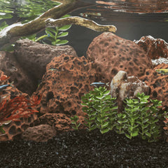 vidaXL Volcanic Rocks 10 kg Red 10-30 cm 1