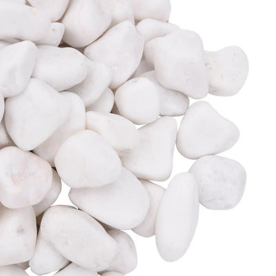 Polished Pebbles 10 kg White 2-5 cm