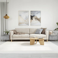 vidaXL Coffee Tables 2 pcs Concrete Grey 50x46x35 cm Engineered Wood 1