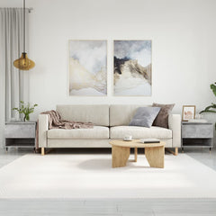 vidaXL Coffee Tables 2 pcs Concrete Grey 50x46x50 cm Engineered Wood 1