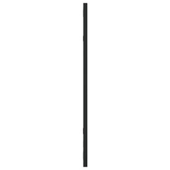 vidaXL Wall Mirror Black 30x60 cm Rectangle Iron 4