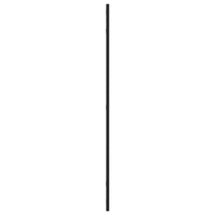 vidaXL Wall Mirror Black 60x100 cm Rectangle Iron 4