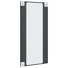 vidaXL Wall Mirror Black 50x100 cm Rectangle Iron 5