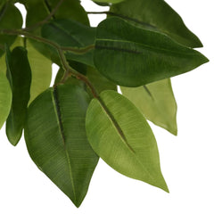 vidaXL Artificial Ficus Tree 378 Leaves 80 cm Green 3
