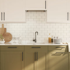 vidaXL Cabinet Handles 20 pcs Black 160 mm Stainless Steel 4