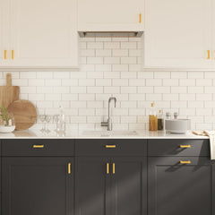 vidaXL Cabinet Handles 20 pcs Gold 64 mm Stainless Steel 4