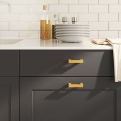 vidaXL Cabinet Handles 20 pcs Gold 64 mm Stainless Steel 1