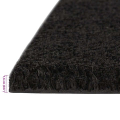 vidaXL Door Mats 2 pcs Black 40x60 cm Tufted Coir 6
