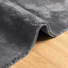 vidaXL Rug HUARTE Short Pile Soft and Washable Anthracite 80x250 cm 6