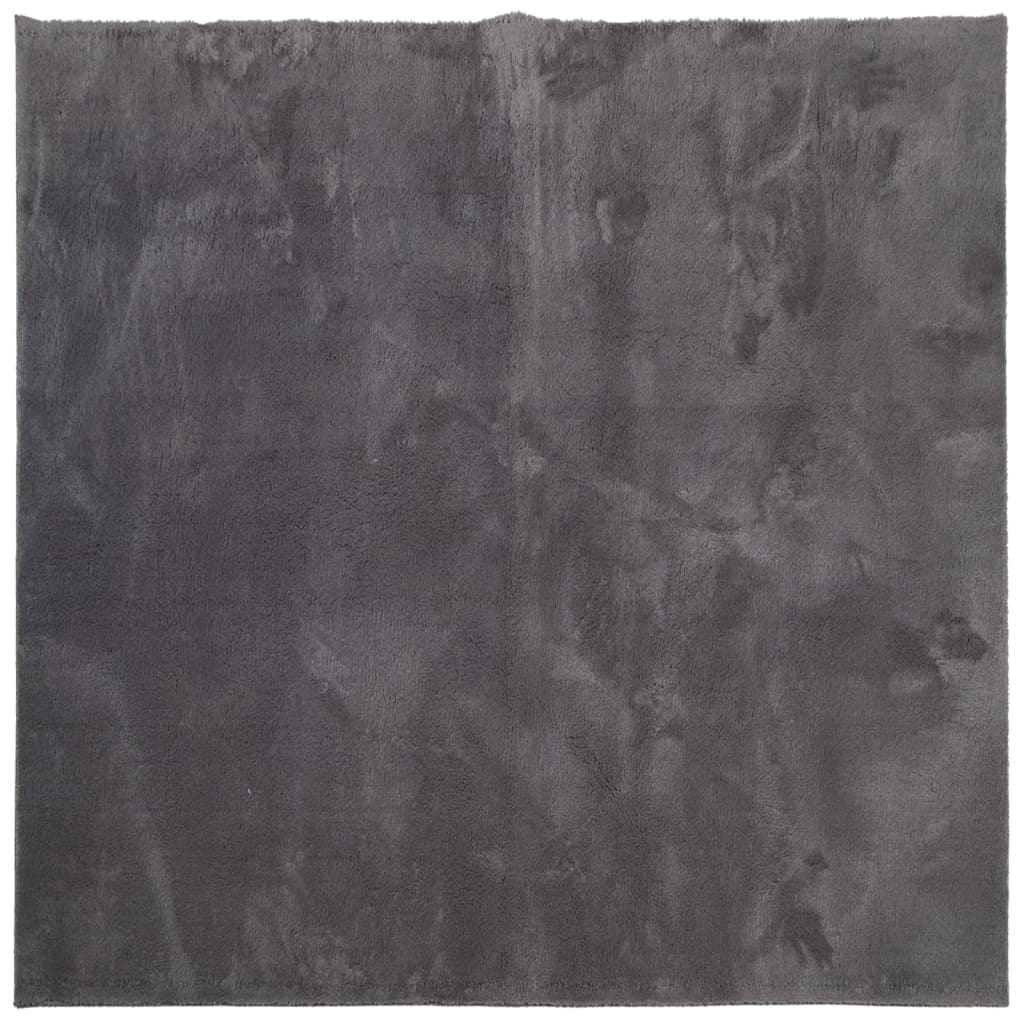 vidaXL Rug HUARTE Short Pile Soft and Washable Anthracite 120x120 cm 2
