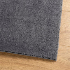 vidaXL Rug HUARTE Short Pile Soft and Washable Anthracite 120x120 cm 4