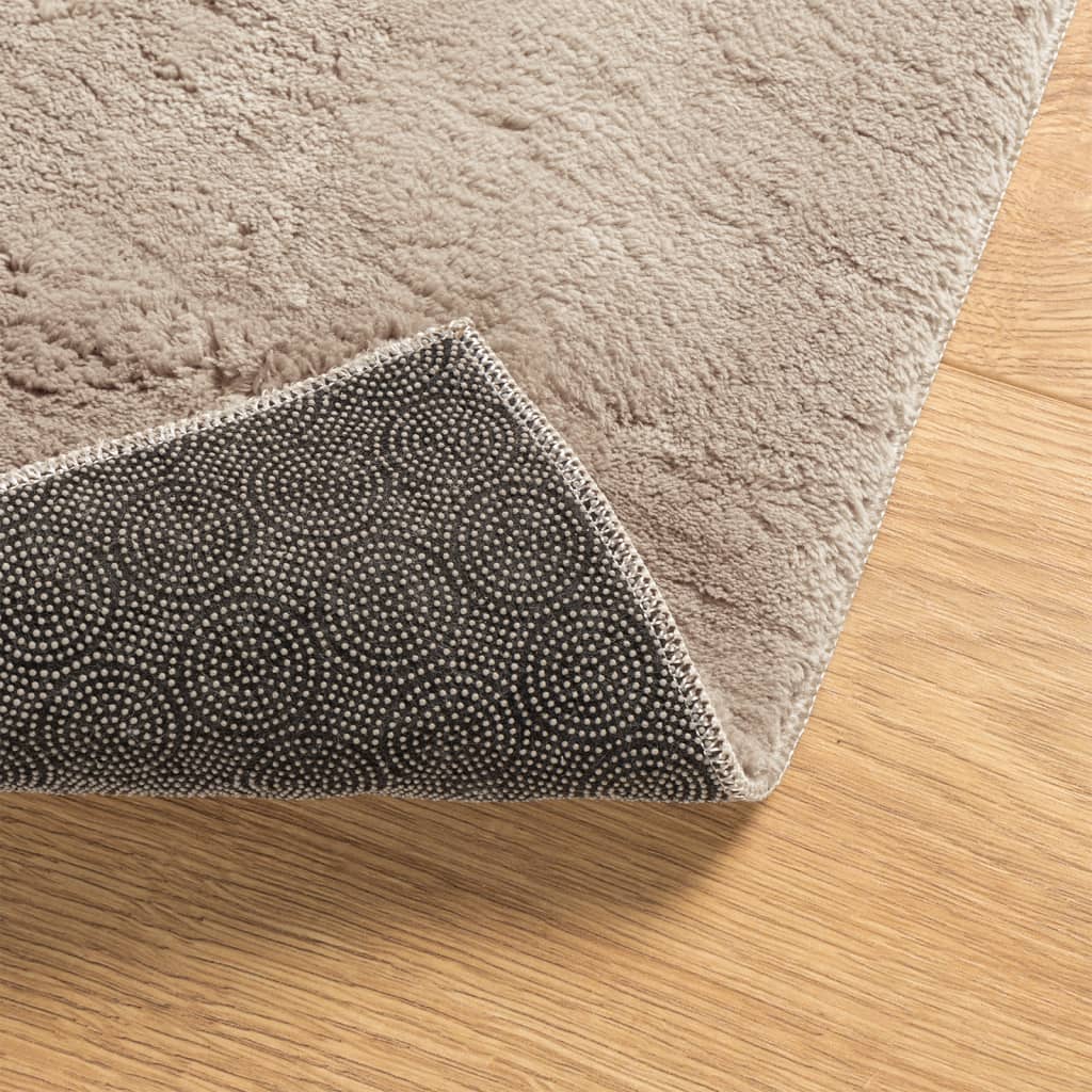 vidaXL Rug HUARTE Short Pile Soft and Washable Sand 80x150 cm 5