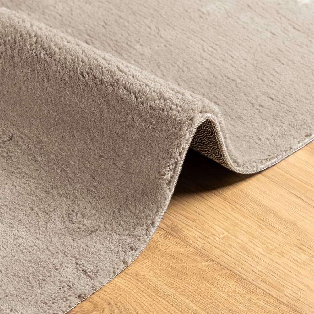 vidaXL Rug HUARTE Short Pile Soft and Washable Sand 80x150 cm 6