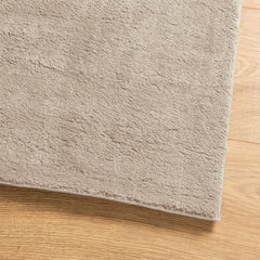 vidaXL Rug HUARTE Short Pile Soft and Washable Sand 120x120 cm 4