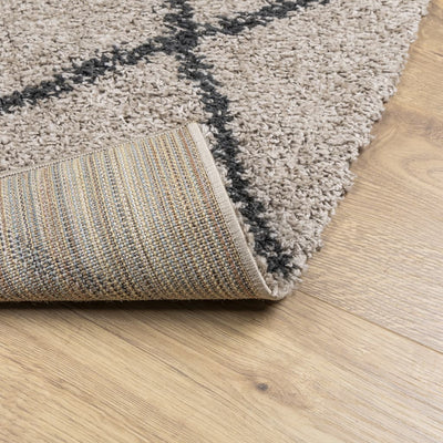 Shaggy Rug High Pile Modern Beige and Anthracite 80x200 cm