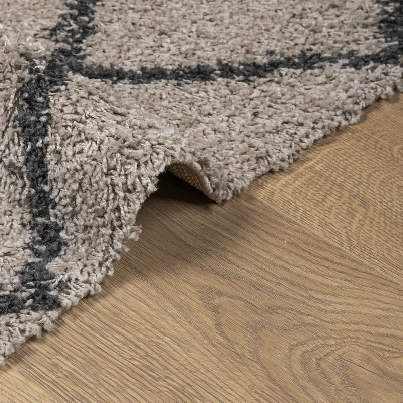 Shaggy Rug High Pile Modern Beige and Anthracite 80x200 cm