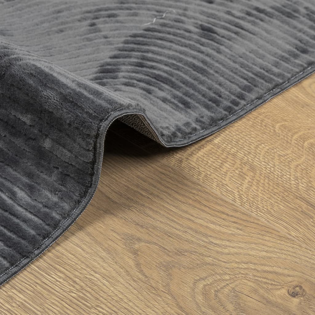 vidaXL Rug IZA Short Pile Scandinavian Look Anthracite 100x200 cm 6