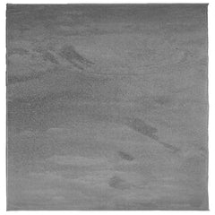 vidaXL Rug OVIEDO Short Pile Anthracite 120x120 cm 2