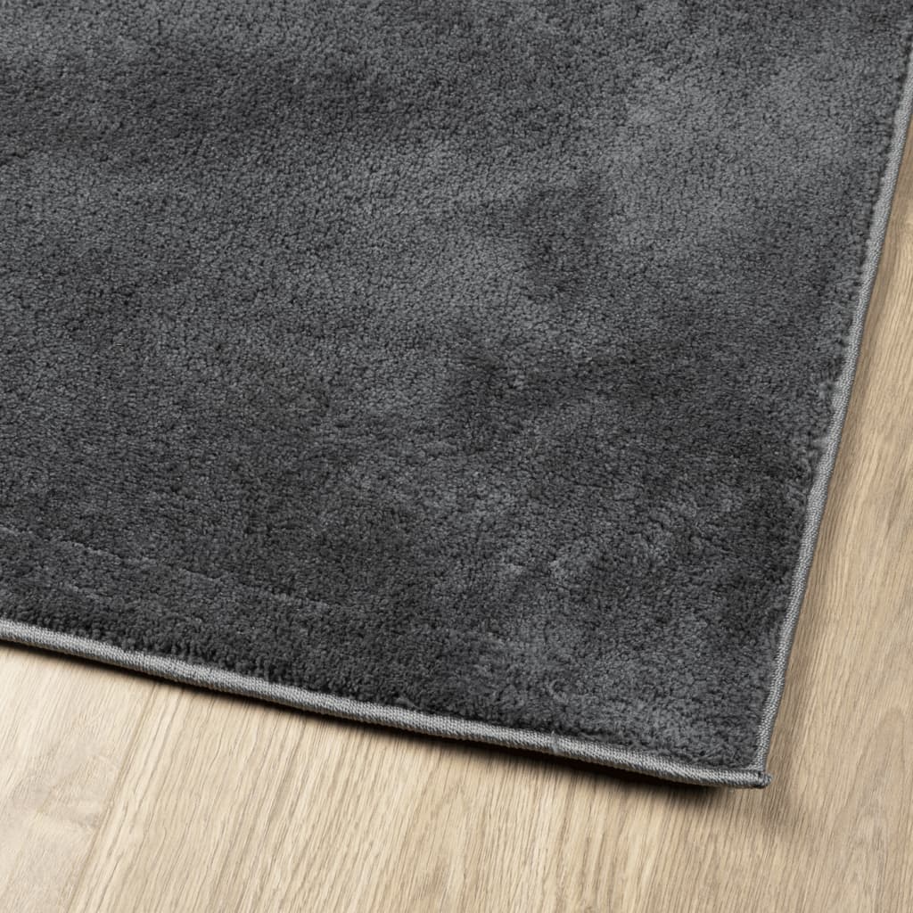 vidaXL Rug OVIEDO Short Pile Anthracite 120x120 cm 4