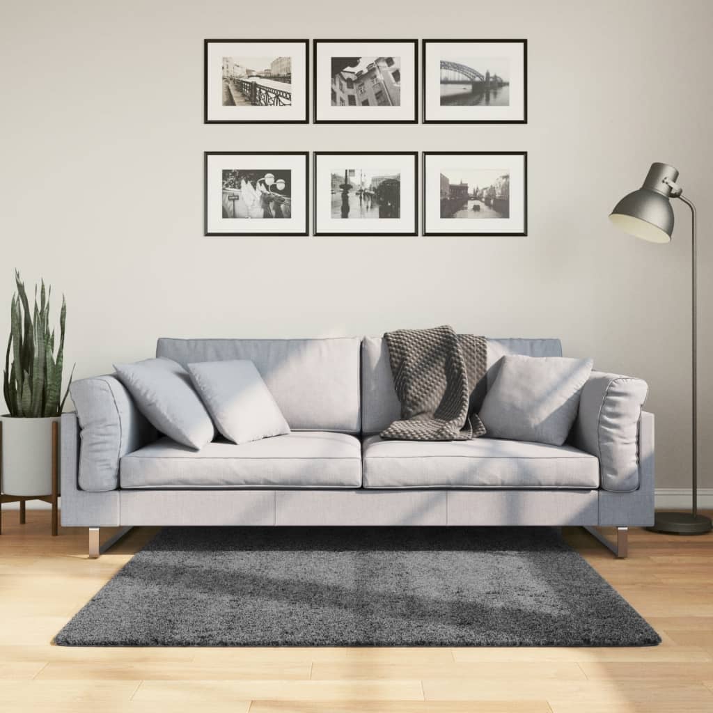 vidaXL Rug OVIEDO Short Pile Anthracite 120x120 cm 1