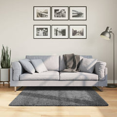 vidaXL Rug OVIEDO Short Pile Anthracite 120x120 cm 1
