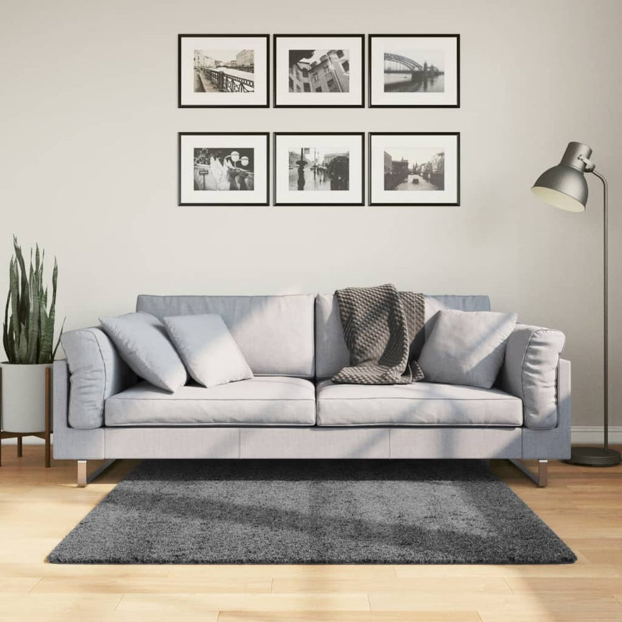 vidaXL Rug OVIEDO Short Pile Anthracite 120x120 cm 1