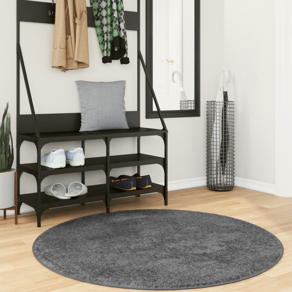 vidaXL Rug OVIEDO Short Pile Anthracite Ø 120 cm 1