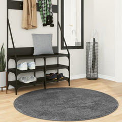 vidaXL Rug OVIEDO Short Pile Anthracite Ø 120 cm 1