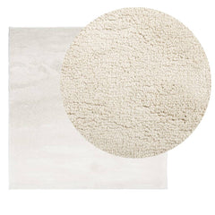 vidaXL Rug OVIEDO Short Pile Beige 120x120 cm 3