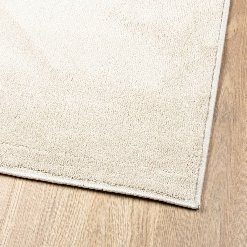 Rug OVIEDO Short Pile Beige 120x170 cm