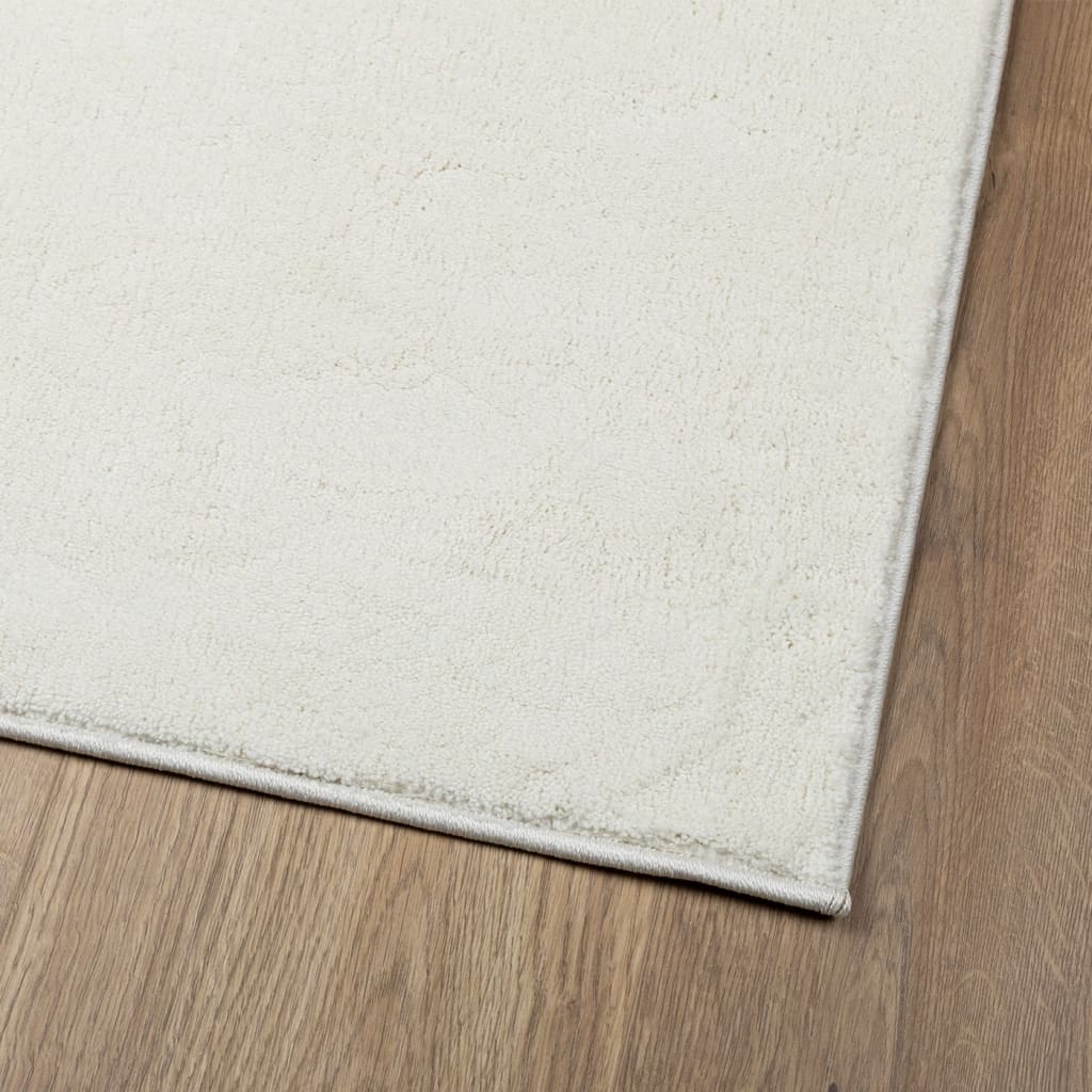 vidaXL Rug OVIEDO Short Pile Cream 120x120 cm 4