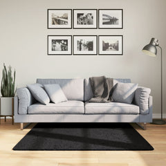 vidaXL Rug OVIEDO Short Pile Black 120x120 cm 1