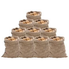 Jute Sacks 100% Jute 220 gsm 60 cm 105 cm 10