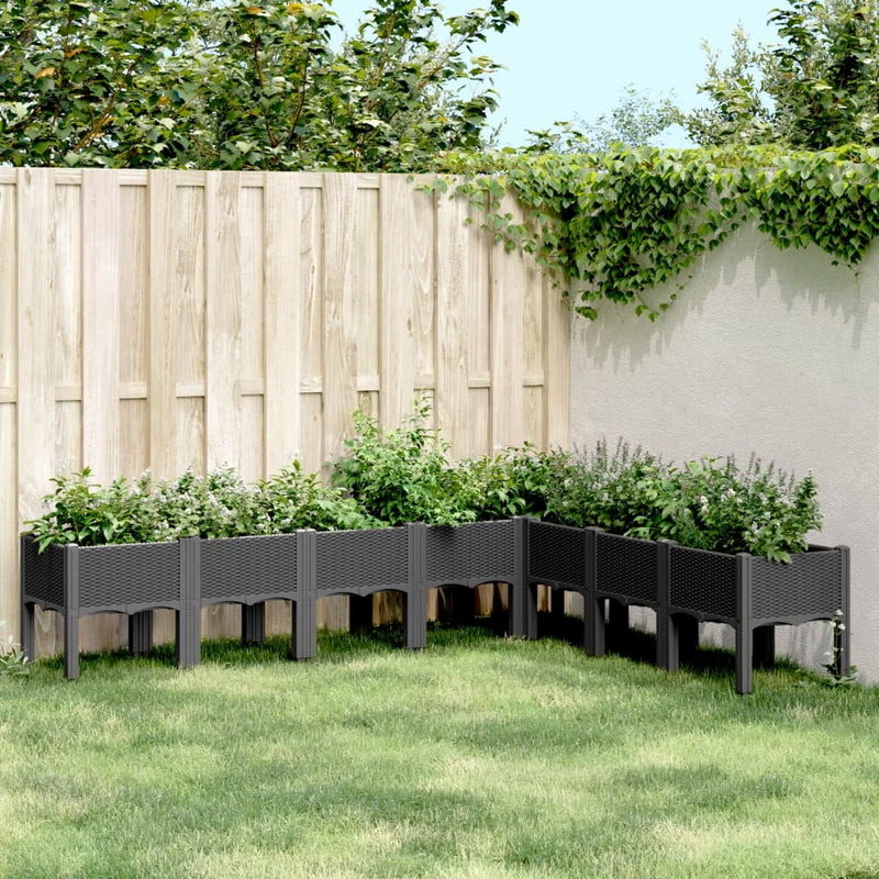 Garden Planter with Legs Black 200x160x42 cm PP