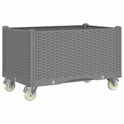 Garden Planter with Wheels Light Grey 80x50x54 cm PP