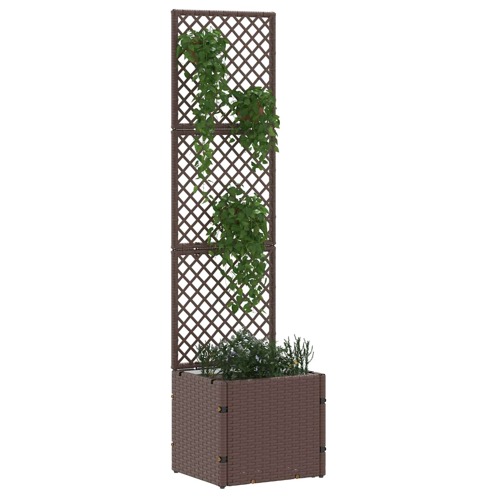 vidaXL Garden Trellis Planter Brown 35 x 30 x 135 cm Metal 2