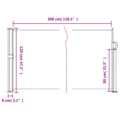 Retractable Side Awning Black 120x300 cm