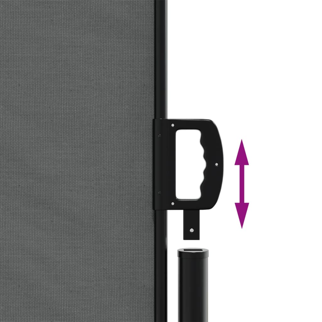 vidaXL Retractable Side Awning Anthracite 180x600 cm 6