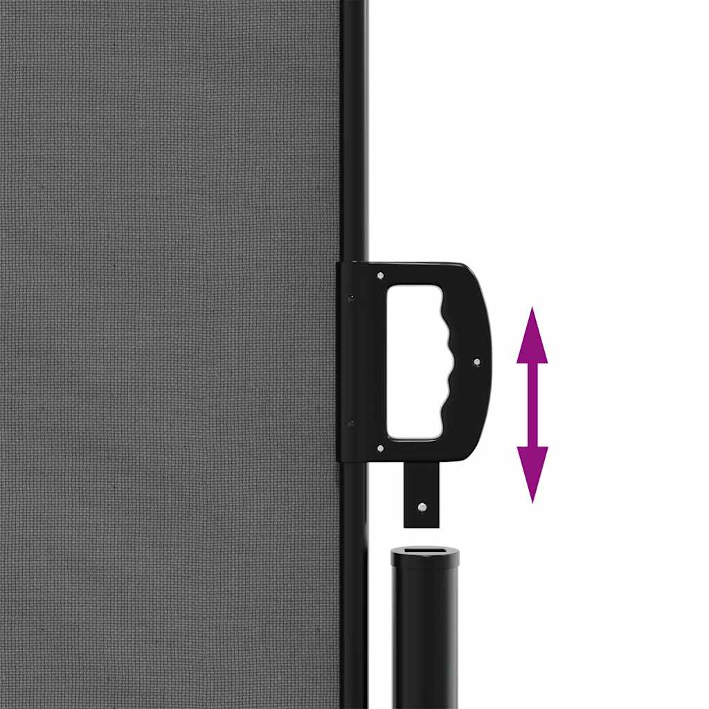 vidaXL Retractable Side Awning Anthracite 220x1000 cm 6