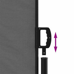 vidaXL Retractable Side Awning Anthracite 220x1200 cm 6